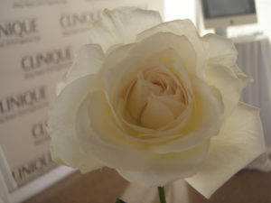 Clinique Perfect Match event: white rose